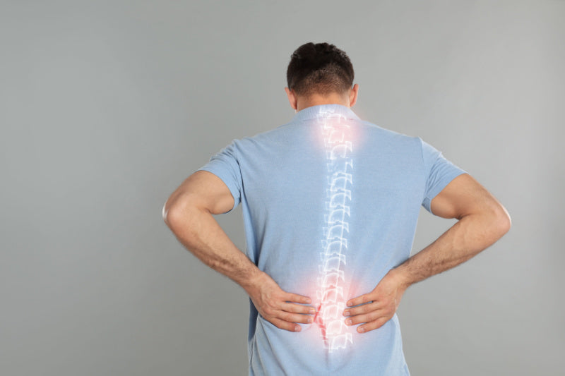 Back Pain and Bone Health - Your Back Pain Relief